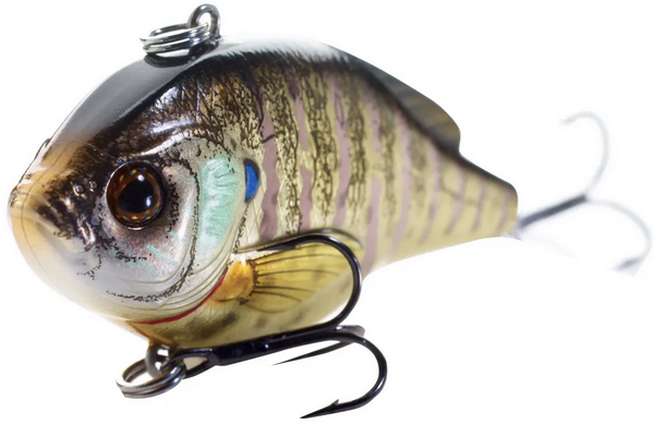bluegill_rattlebait.jpg