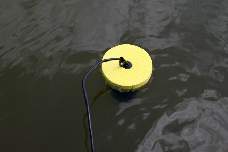 Image Image
