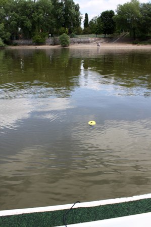 Image Image