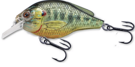sunfish.png